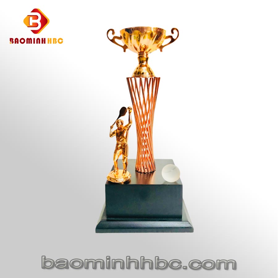 Cup thể thao 3 cup hbc n01