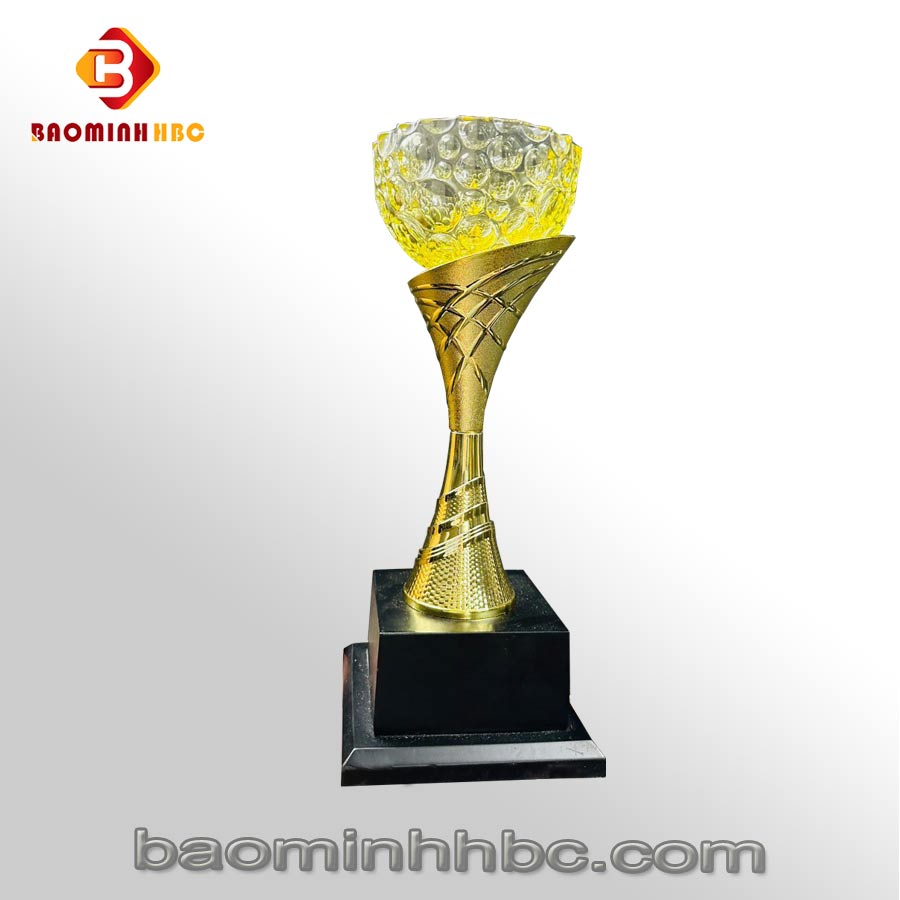 Cup vàng cao cấp 1 cup hbc n03