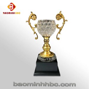 cup hbc n04