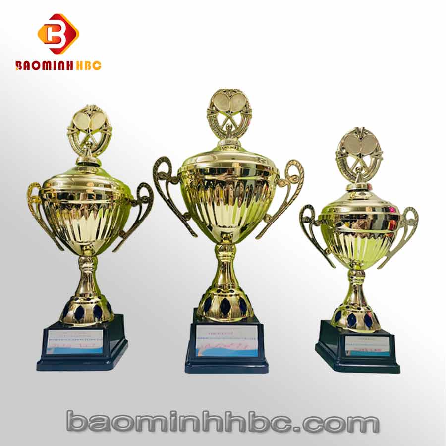Cup thể thao 1 cup hbc n1sl059 v
