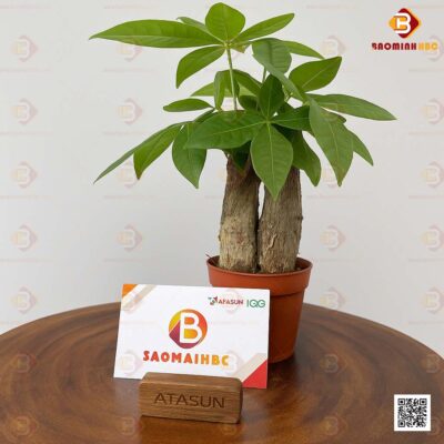 Giá để danh thiếp bằng gỗ 01 2 giá để danh thiếp