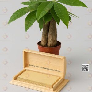 hộp đựng danh thiếp