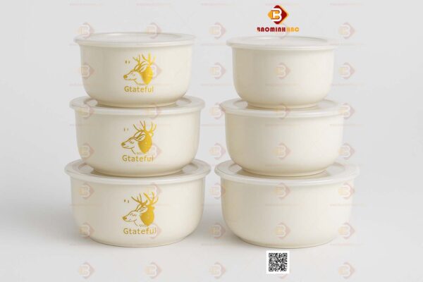 Bộ tô chén bằng sứ cao cấp 01 2 tô chén bằng sứ