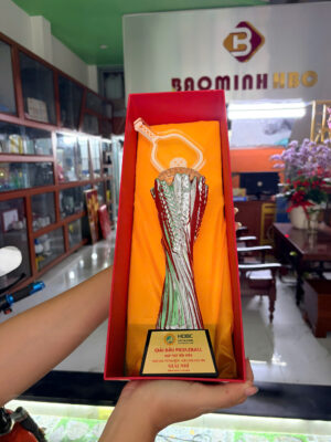Cúp Pickleball Cao Cấp 6 Cúp Pickleball Cao Cấpv